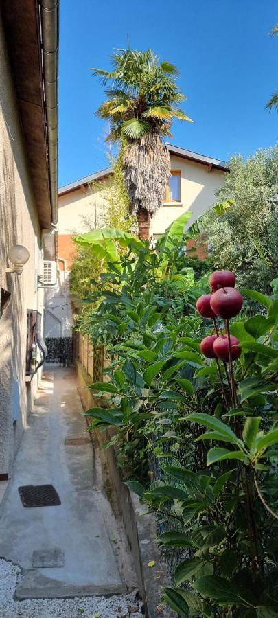 Studio Simone - Terrasse Et Jardin - Tv - Wifi Toulouse Exterior photo