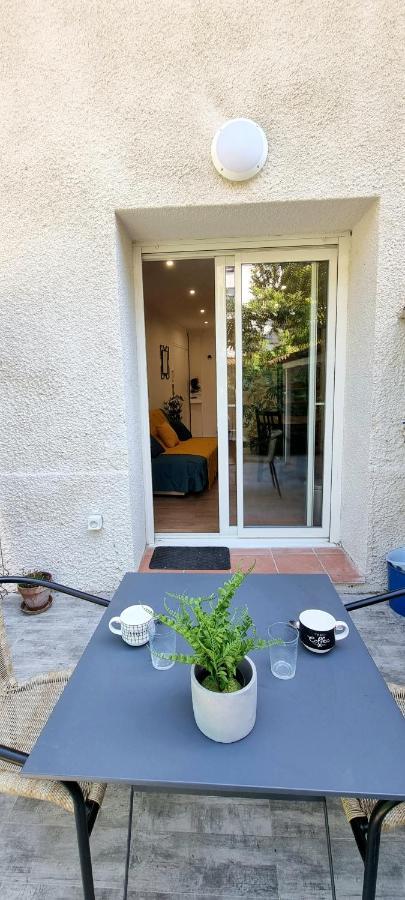 Studio Simone - Terrasse Et Jardin - Tv - Wifi Toulouse Exterior photo